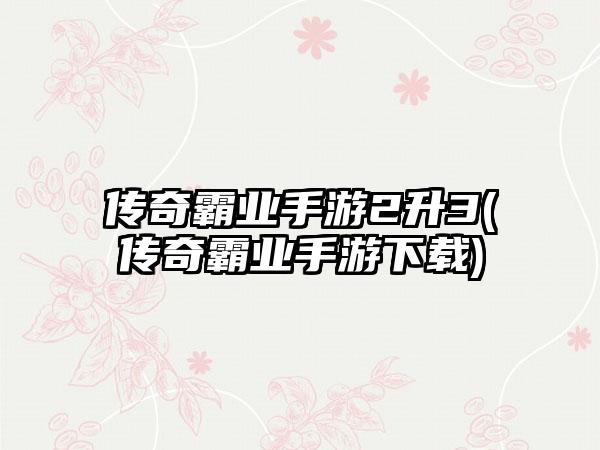 传奇霸业手游2升3(传奇霸业手游下载)