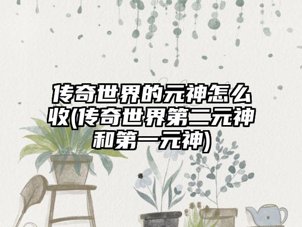 传奇世界的元神怎么收(传奇世界第二元神和第一元神)