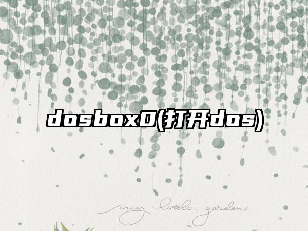 dosbox0(打开dos)