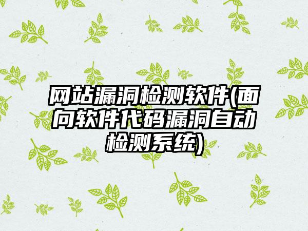 网站漏洞检测软件(面向软件代码漏洞自动检测系统)