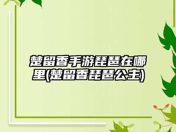 楚留香手游琵琶在哪里(楚留香琵琶公主)