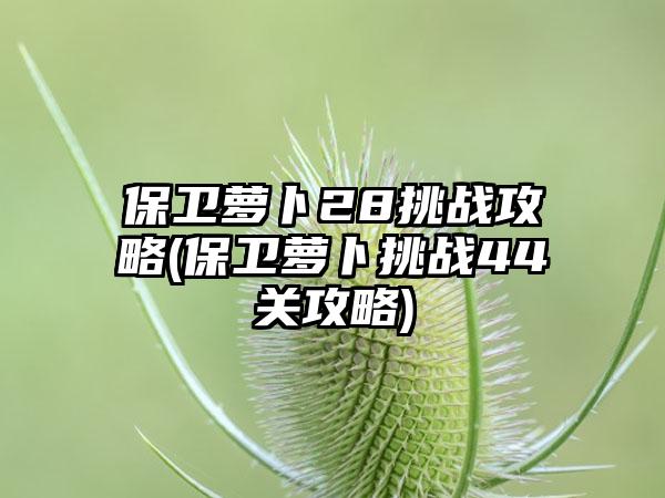 保卫萝卜28挑战攻略(保卫萝卜挑战44关攻略)