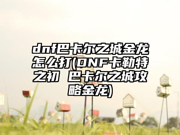 dnf巴卡尔之城金龙怎么打(DNF卡勒特之初 巴卡尔之城攻略金龙)