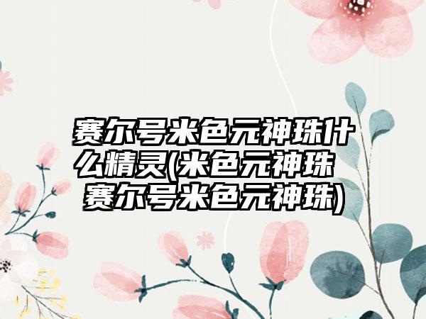 赛尔号米色元神珠什么精灵(米色元神珠 赛尔号米色元神珠)
