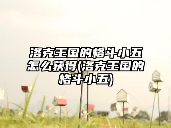 洛克王国的格斗小五怎么获得(洛克王国的格斗小五)
