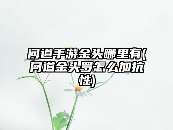 问道手游金头哪里有(问道金头罗怎么加抗性)