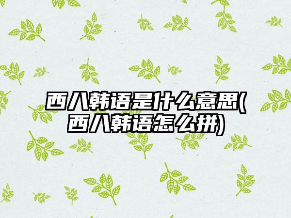 西八韩语是什么意思(西八韩语怎么拼)