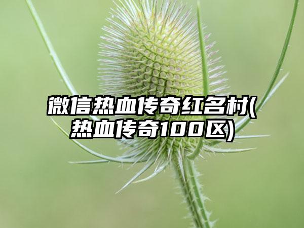 微信热血传奇红名村(热血传奇100区)