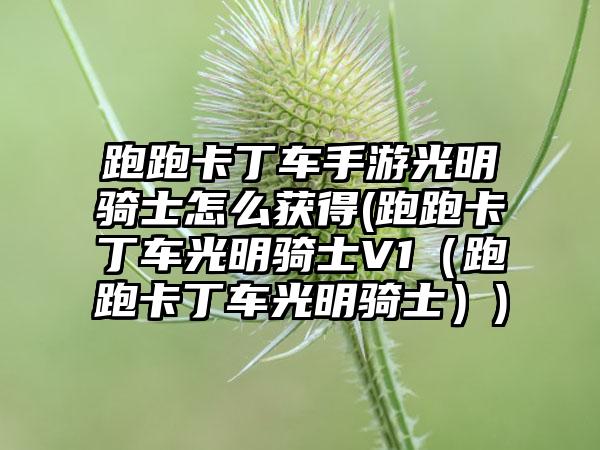 跑跑卡丁车手游光明骑士怎么获得(跑跑卡丁车光明骑士V1（跑跑卡丁车光明骑士）)
