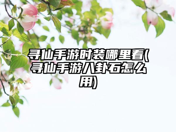 寻仙手游时装哪里看(寻仙手游八卦石怎么用)