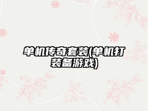单机传奇套装(单机打装备游戏)