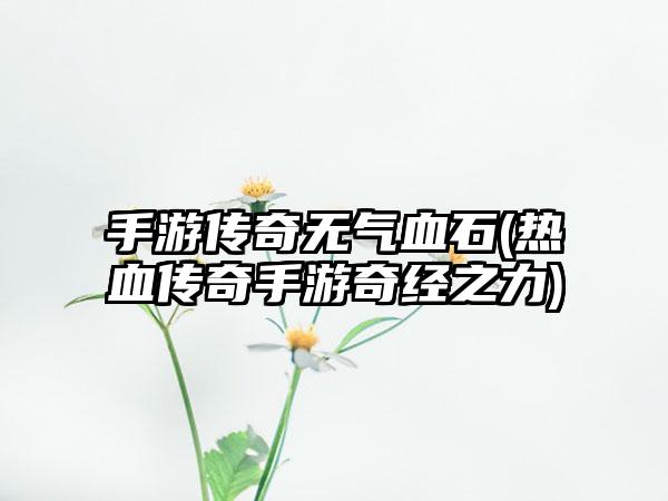 手游传奇无气血石(热血传奇手游奇经之力)