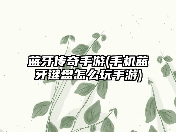 蓝牙传奇手游(手机蓝牙键盘怎么玩手游)