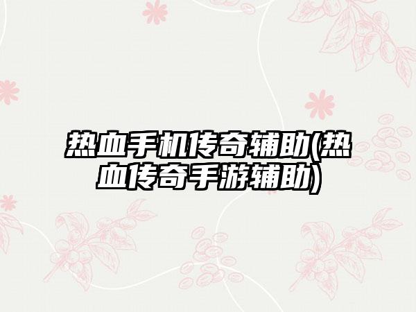 热血手机传奇辅助(热血传奇手游辅助)