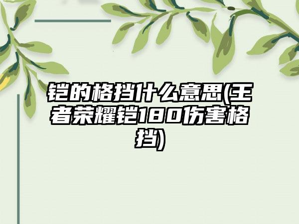 铠的格挡什么意思(王者荣耀铠180伤害格挡)