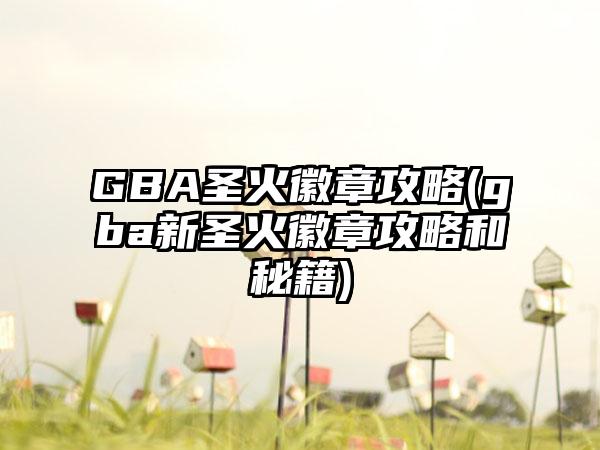 GBA圣火徽章攻略(gba新圣火徽章攻略和秘籍)