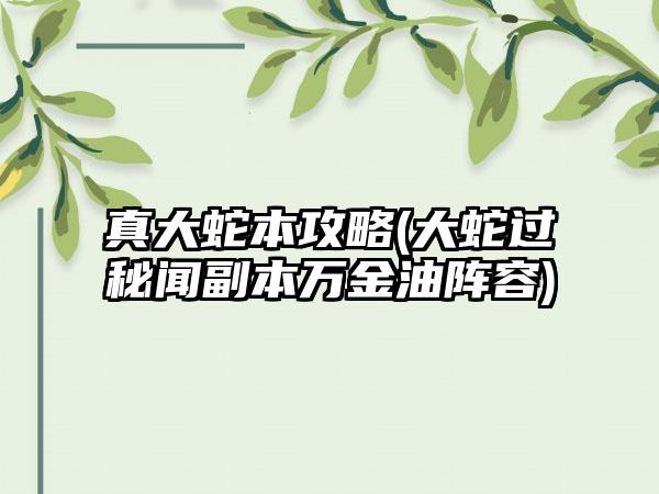 真大蛇本攻略(大蛇过秘闻副本万金油阵容)