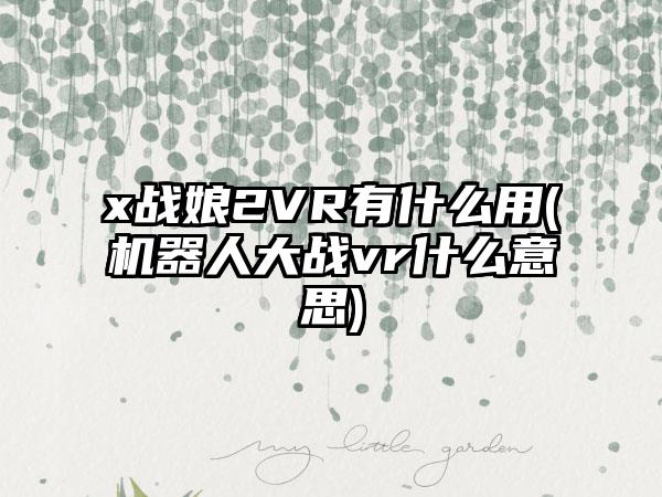 x战娘2VR有什么用(机器人大战vr什么意思)