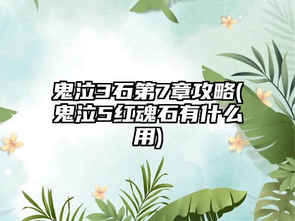 鬼泣3石第7章攻略(鬼泣5红魂石有什么用)