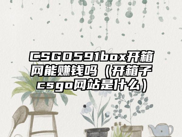 CSGO591box开箱网能赚钱吗（开箱子csgo网站是什么）