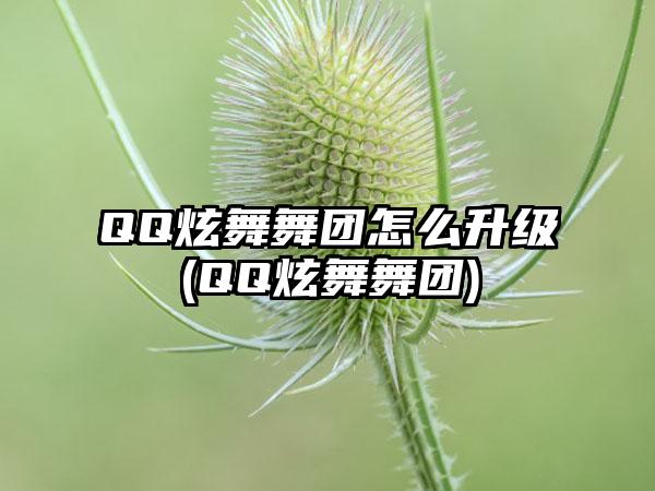 QQ炫舞舞团怎么升级(QQ炫舞舞团)