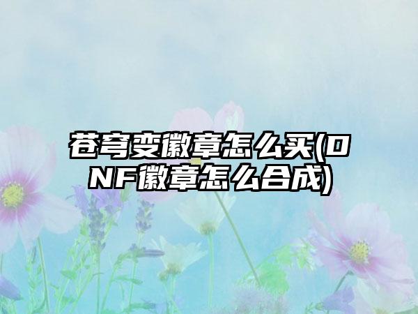 苍穹变徽章怎么买(DNF徽章怎么合成)