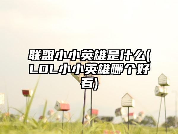 联盟小小英雄是什么(LOL小小英雄哪个好看)