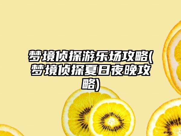 梦境侦探游乐场攻略(梦境侦探夏日夜晚攻略)