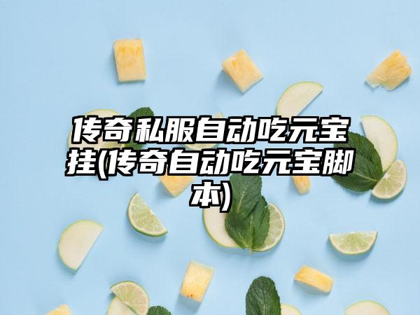 传奇私服自动吃元宝挂(传奇自动吃元宝脚本)