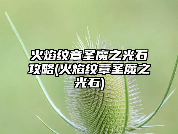 火焰纹章圣魔之光石攻略(火焰纹章圣魔之光石)