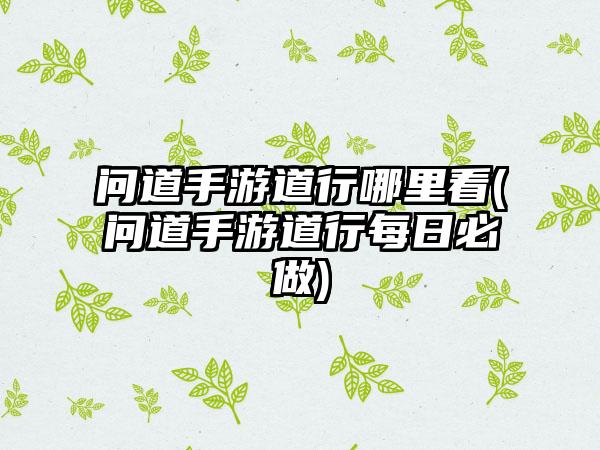 问道手游道行哪里看(问道手游道行每日必做)