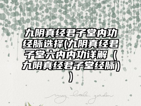 九阴真经君子堂内功经脉选择(九阴真经君子堂六内内功详解（九阴真经君子堂经脉）)