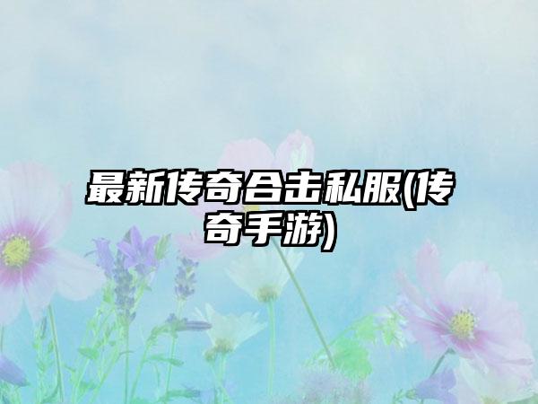 最新传奇合击私服(传奇手游)