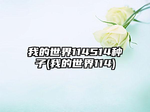我的世界114514种子(我的世界114)