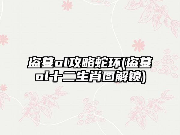盗墓ol攻略蛇环(盗墓ol十二生肖图解锁)