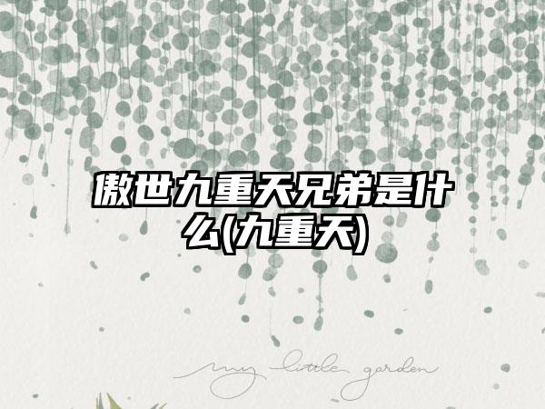 傲世九重天兄弟是什么(九重天)