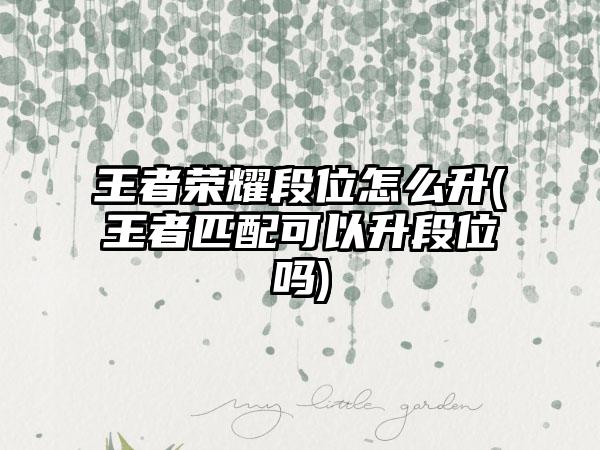 王者荣耀段位怎么升(王者匹配可以升段位吗)