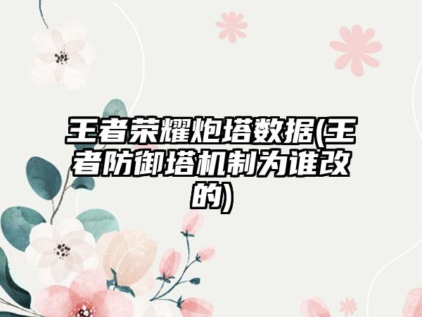 王者荣耀炮塔数据(王者防御塔机制为谁改的)