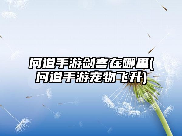 问道手游剑客在哪里(问道手游宠物飞升)