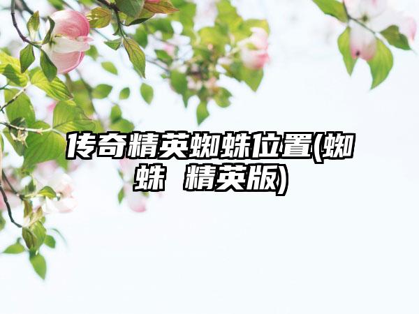 传奇精英蜘蛛位置(蜘蛛 精英版)