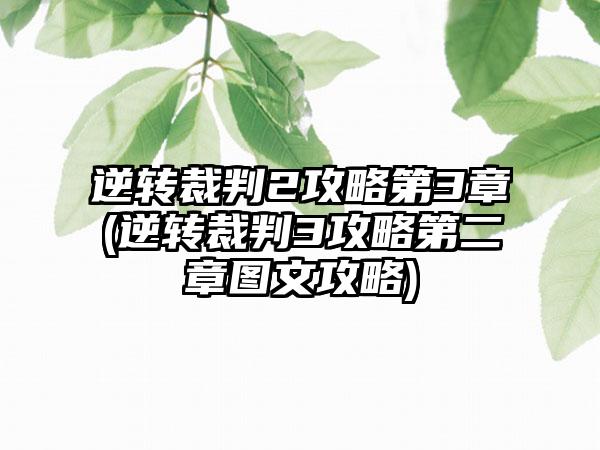 逆转裁判2攻略第3章(逆转裁判3攻略第二章图文攻略)