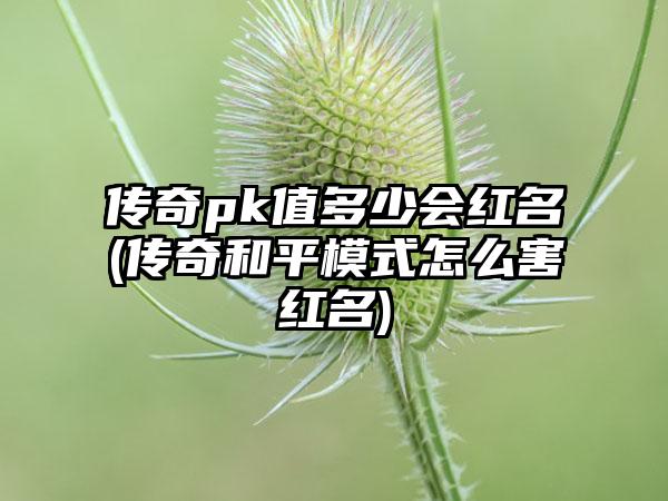 传奇pk值多少会红名(传奇和平模式怎么害红名)