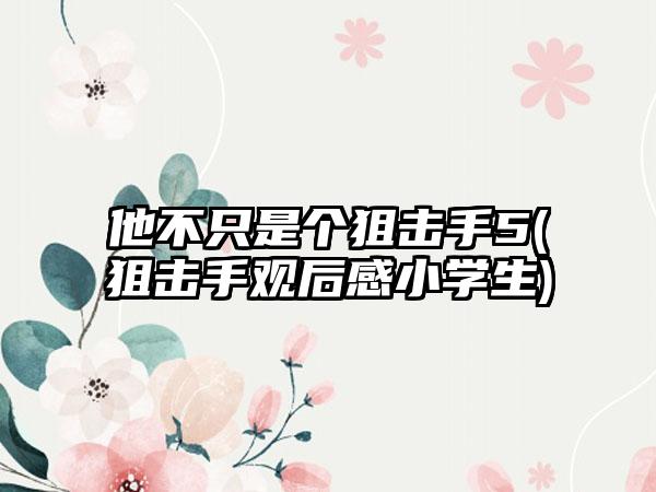 他不只是个狙击手5(狙击手观后感小学生)