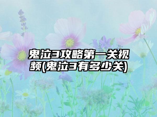 鬼泣3攻略第一关视频(鬼泣3有多少关)