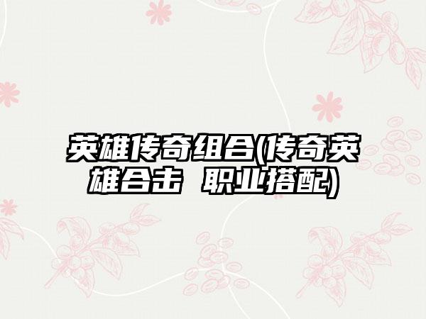 英雄传奇组合(传奇英雄合击 职业搭配)