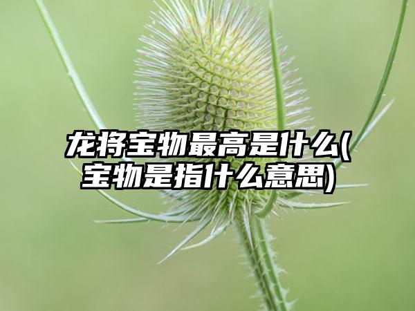 龙将宝物最高是什么(宝物是指什么意思)