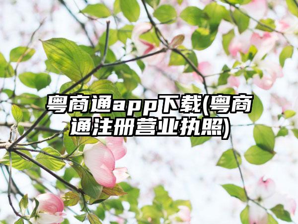 粤商通app下载(粤商通注册营业执照)