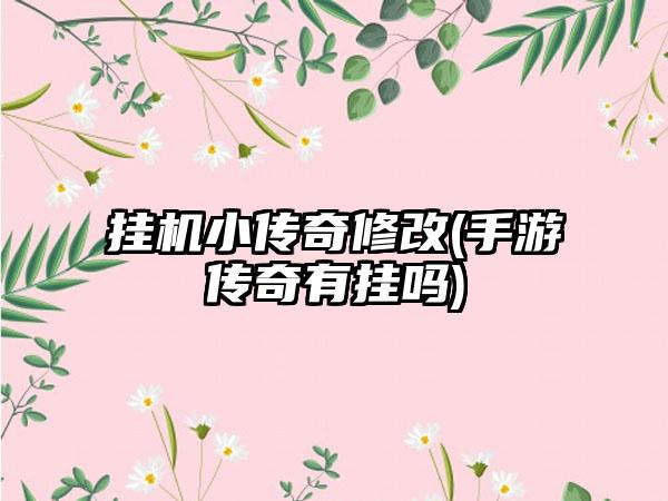 挂机小传奇修改(手游传奇有挂吗)