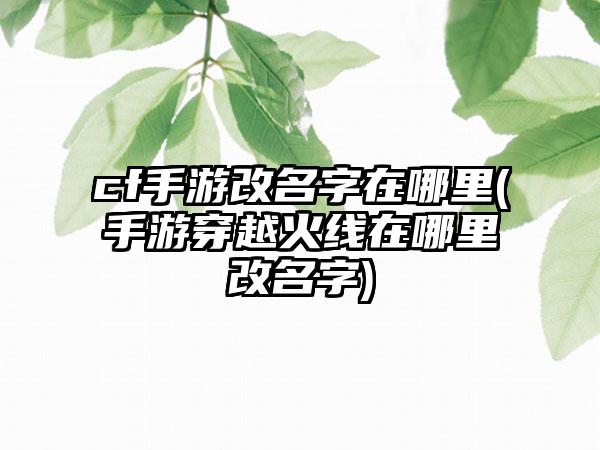 cf手游改名字在哪里(手游穿越火线在哪里改名字)