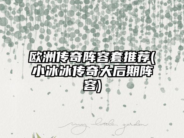 欧洲传奇阵容套推荐(小冰冰传奇大后期阵容)